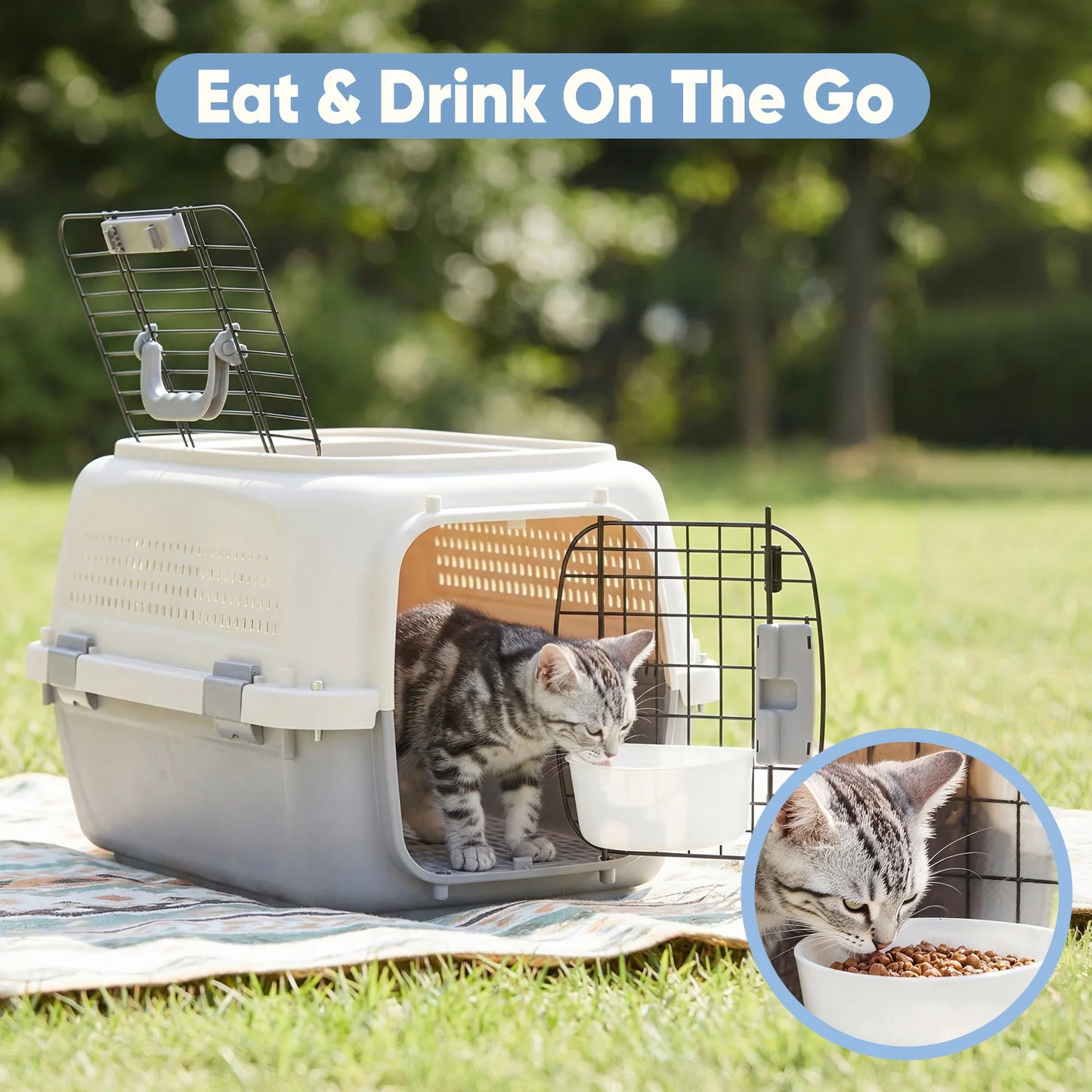 Pet Carrier Travel Crate For Small Dogs Cats With Security Latches