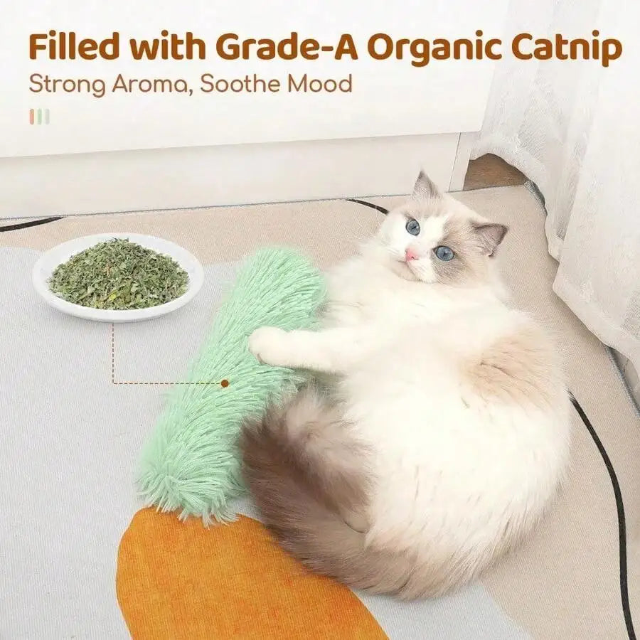 Premium Soft Plush Cat Toy Set 3 Pack Kicker Catnip
