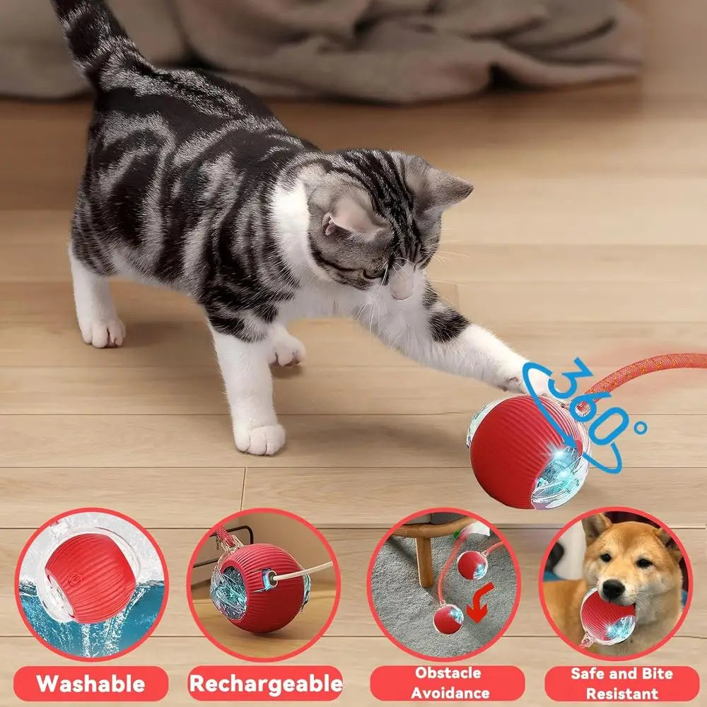 Interactive Cat Toy 2 Pack Elastic Tail Rolling Ball