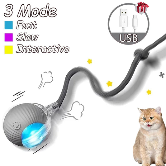 Cat 2-Pack Interactive Ball Toys Automatic Rolling Ball Rechargeable Toy