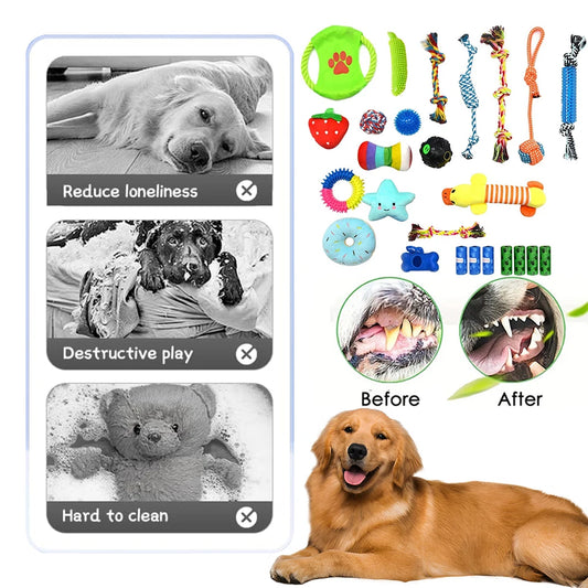 Puppy Chew Toys and Squeaky Balls for Small Medium Dogs