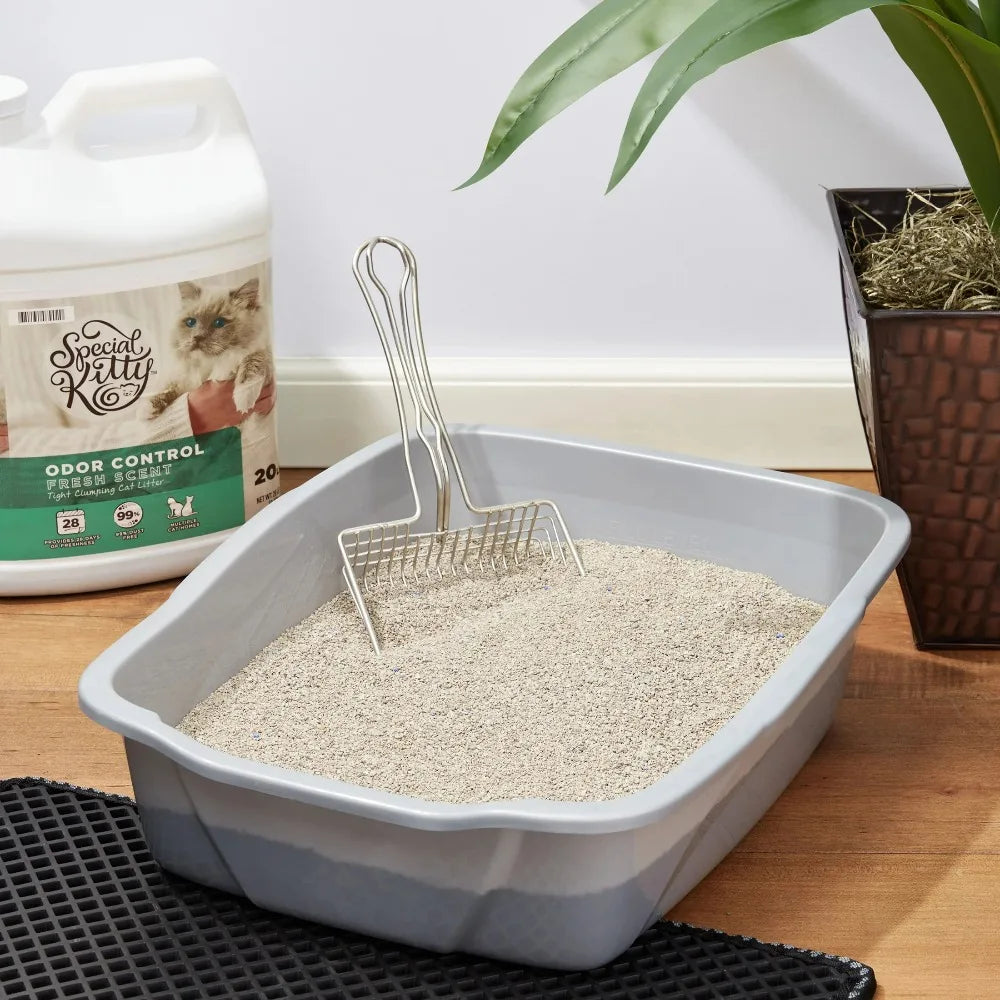 Special Kitty Clumping Clay Cat Litter Fresh Odor Control