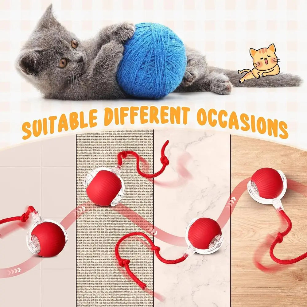 Six Pack Interactive Cat Ball Toy 360 Degree Rolling Ball