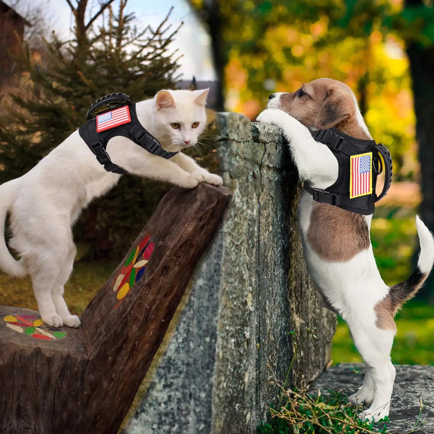 PETRAVEL Tactical Puppy Harness Leash Set For Small Dogs