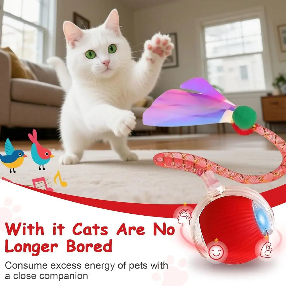 Interactive Cat Toys Smart Ball for Cats and Dogs 360 Degree Rolling Chase